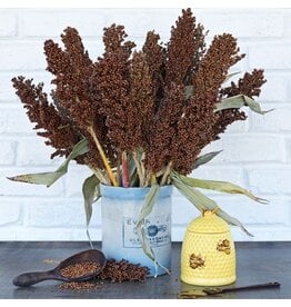 Baker Creek Seeds Sorghum Seeds, Honey Drip