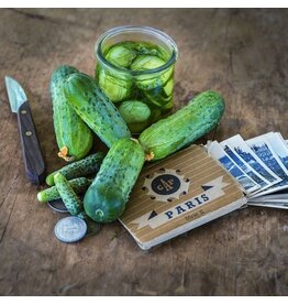 Baker Creek Seeds Cucumber, Parisian Pickling