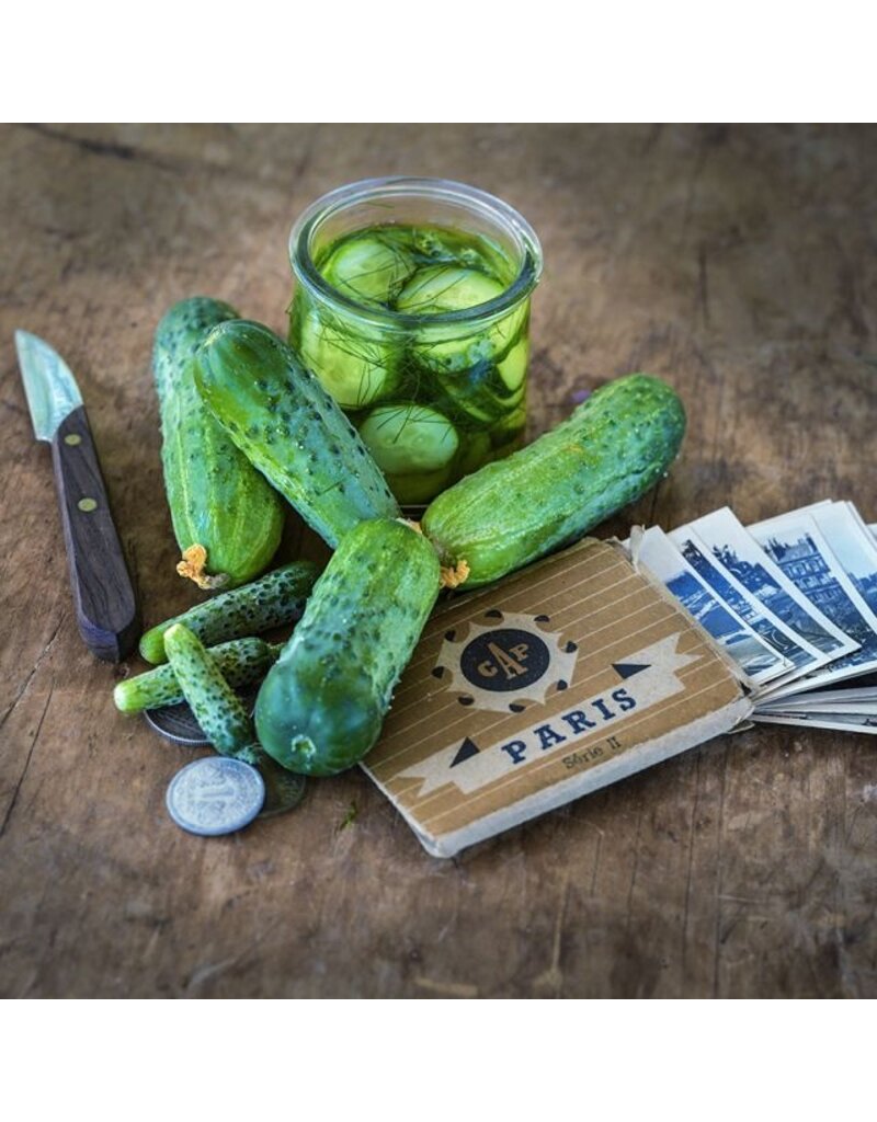 Baker Creek Seeds Cucumber, Parisian Pickling