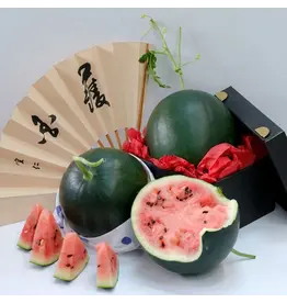 Baker Creek Seeds Watermelon, Black Jewel
