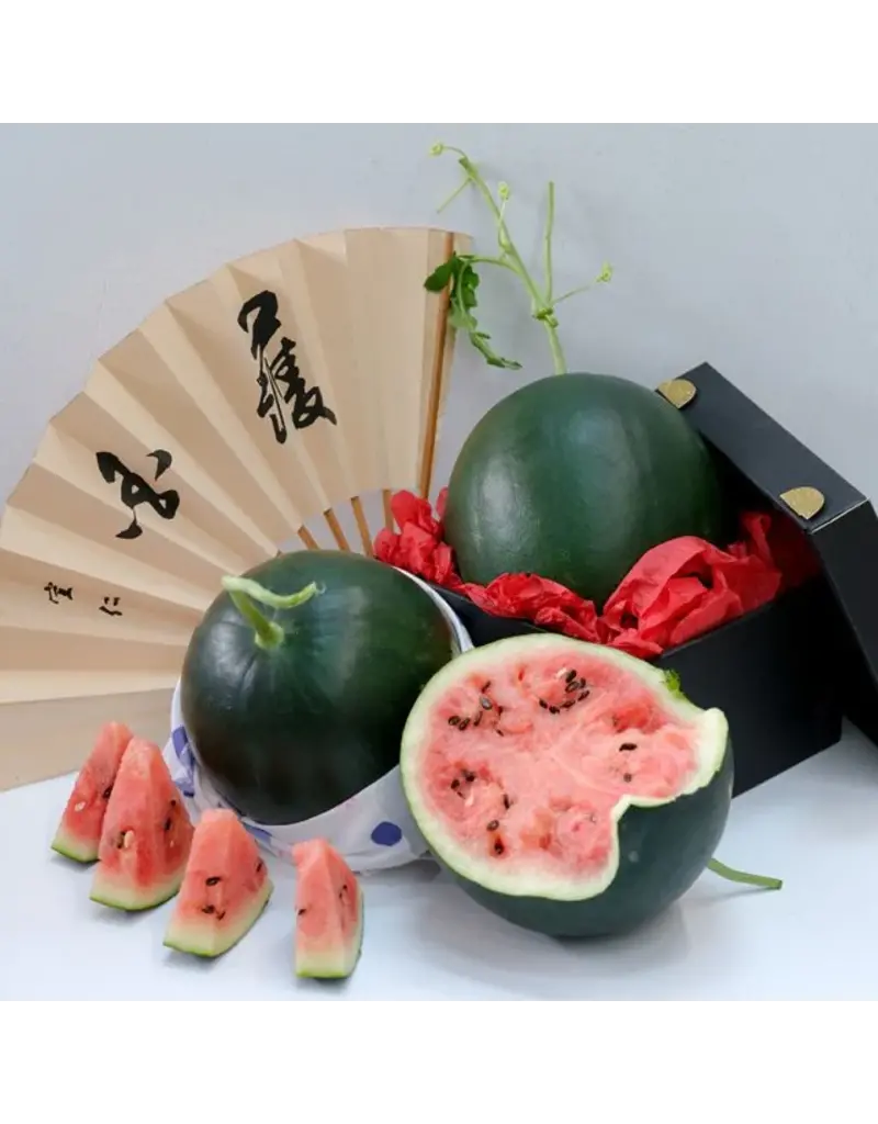 Baker Creek Seeds Watermelon, Black Jewel