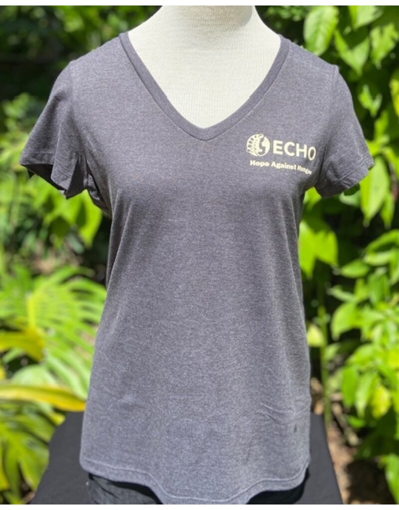 Ladies V Neck Tee