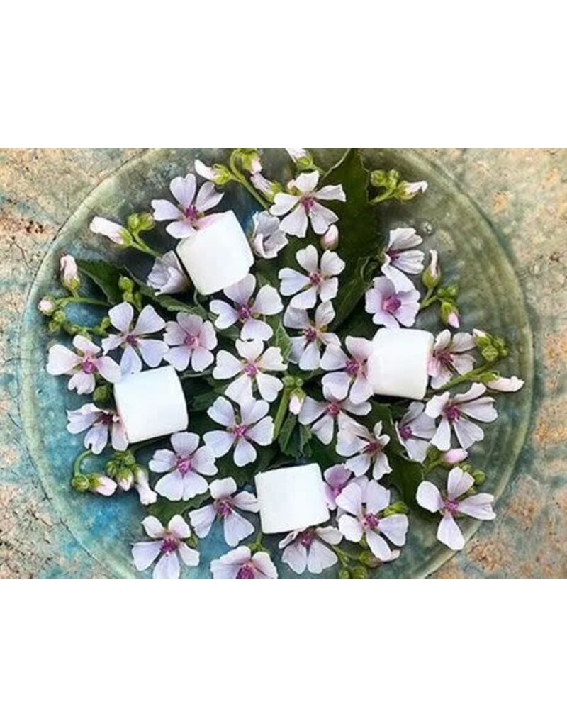 Baker Creek Seeds Herb, Marshmallow