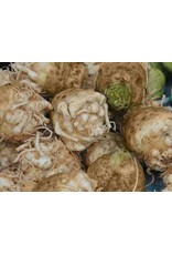 Seed Saver's Exchange Celeriac, Giant Prague