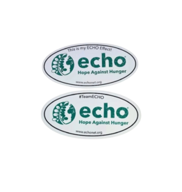 ECHO Car Magnet