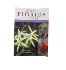 Native Florida Plants
