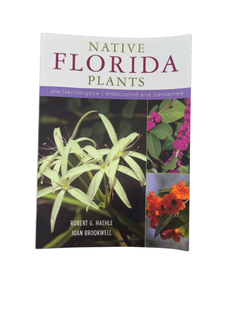 Native Florida Plants