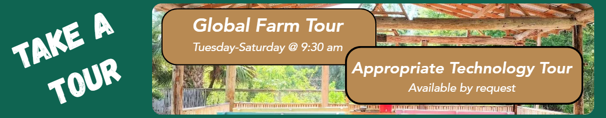Take a tour