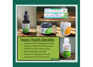 Neem