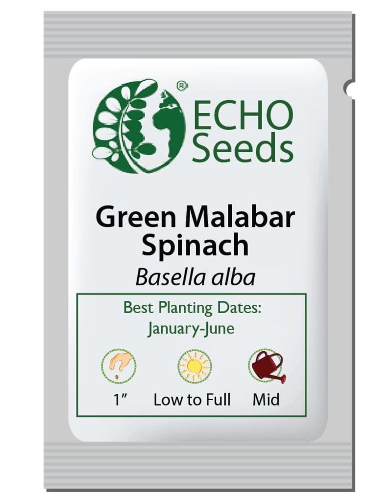 ECHO Seed Bank Spinach, Malabar Green Vines