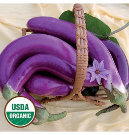 Seed Saver's Exchange Eggplant, Pingtung Long