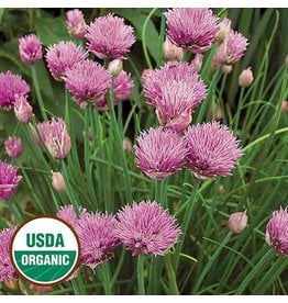 Seed Saver's Exchange Herb, Chives