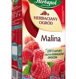 HERBAPOL LUBLIN HERBAPOL- Malina Herbata 20 sztuk