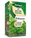 HERBAPOL Polish Herbarium Nettle Tea 20 sach