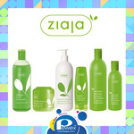 ZIAJA Green olive leaves