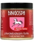 BINGO SPA BINGO SPA Maść Końska Forte Rozgrzewająca 250g