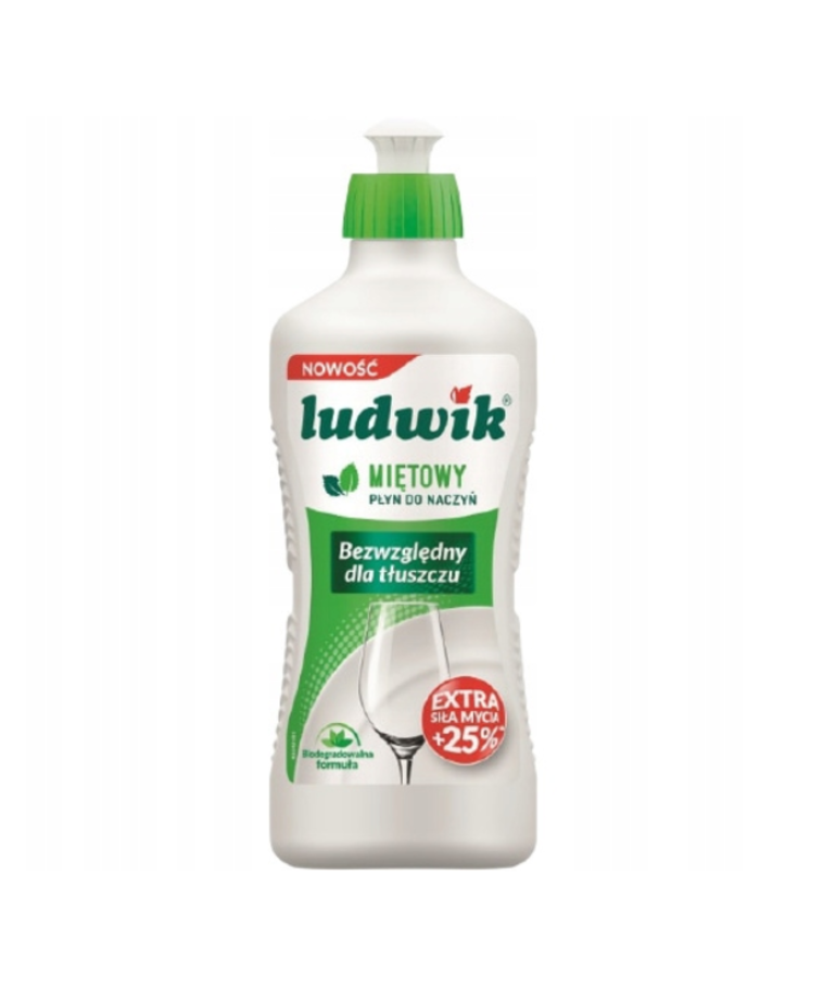 GRUPA INCO s LUDWIK Mint Dishwashing Liquid 450g