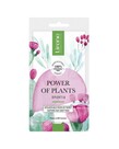 LIRENE LIRENE Power Of Plants Smoothing Face Mask Prickly Pear 17g