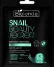BIELENDA BIELENDA- SNAIL BEAUTY SECRETS CzarnaMaska  W Placie-  Balansująco-Regenerująca 1 szt.