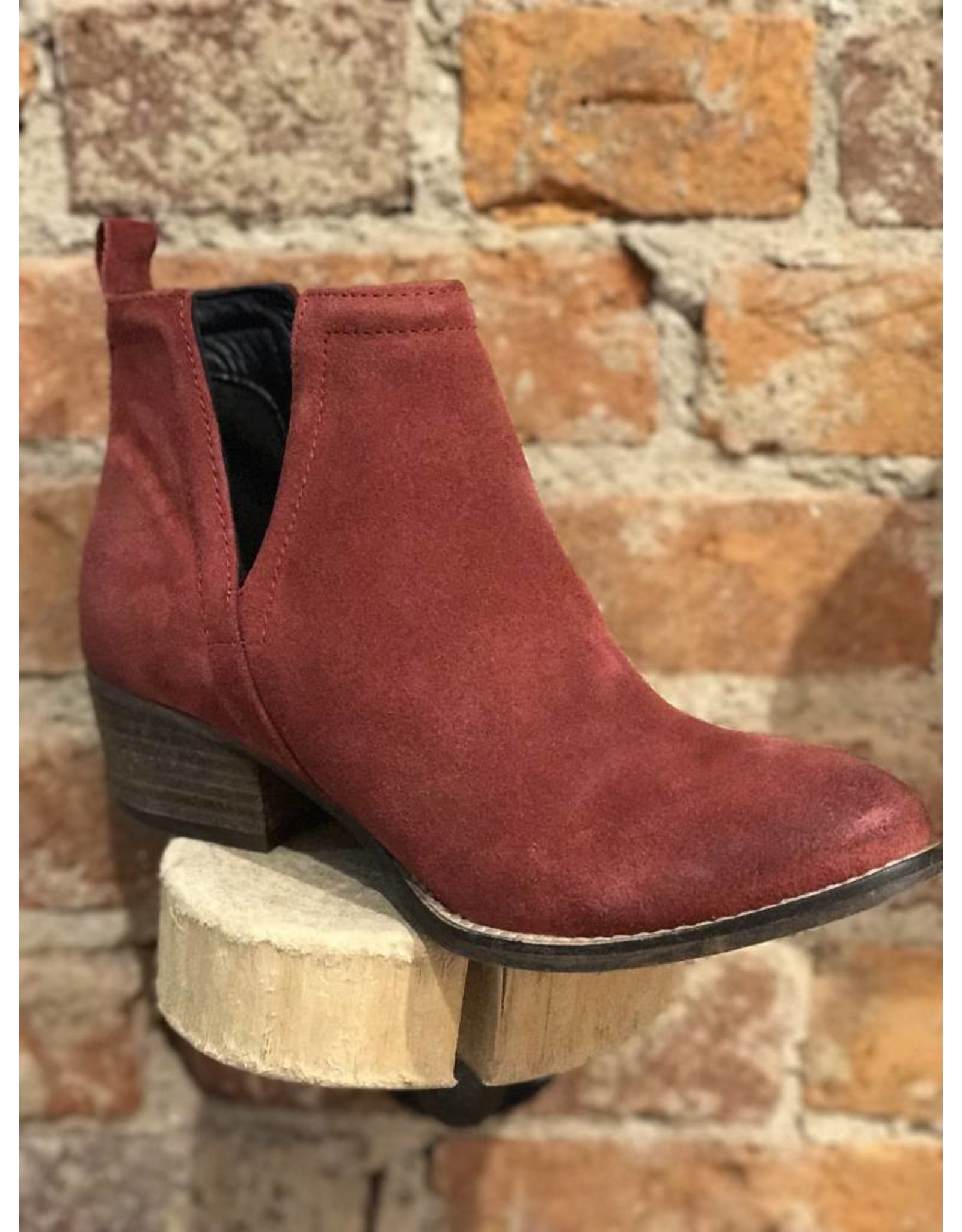 Diba True STOP BY ROGUE BOOTIE