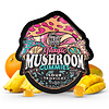 TRE House Magic Mushroom Microdose Gummies 15ct Pouch