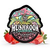 TRE House Magic Mushroom Microdose Gummies 15ct Pouch