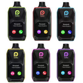  Posh Pro Max 30K Puffs 22ML Disposable