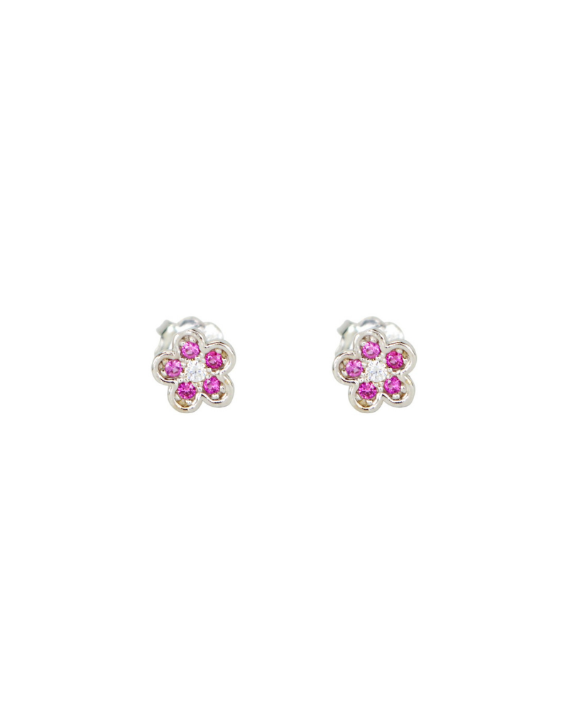 Boucles D'oreilles fixes