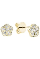 Diamond earrings