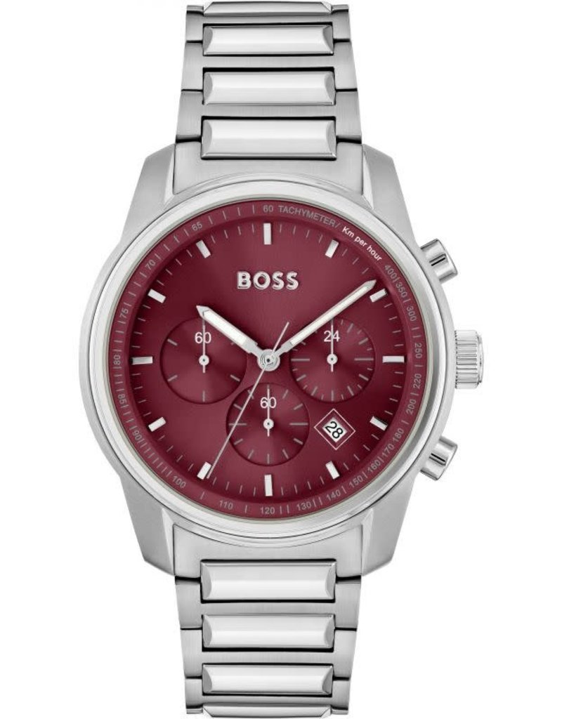 Hugo Boss Timepiece