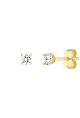 Midas Stud earrings