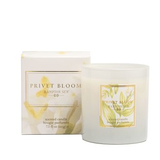 Hampton Sun Privet Bloom Candle Hampton Sun Privet Bloom Candle