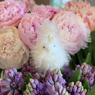 Chick Small w/ Blossom White