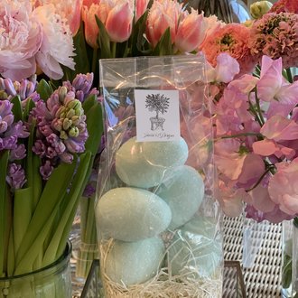 Eggs Aqua Eggs Aqua