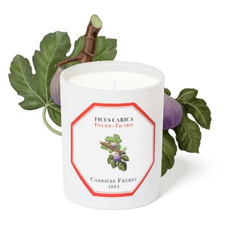 Trudon - Carrière Frères Fig Candle