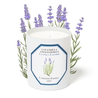 Trudon - Carrière Frères Lavender Candle
