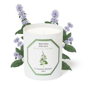 Trudon - Carrière Frères Spearmint Candle