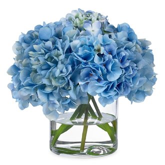 Diane James DJH - Blue Hydrangea in Glass Cyclinder