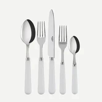 Sabre Flatware Place Setting - 5 piece - White