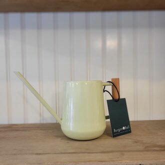 Indoor Watering Can - Pale Jade