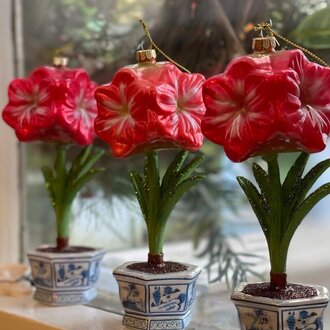 Christmas Amaryllis Orn