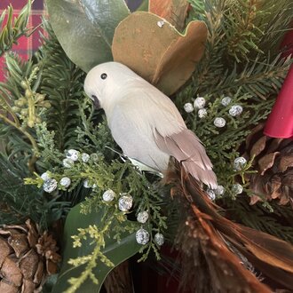 Beige-Brown Bird w/ mixed tail 50cm