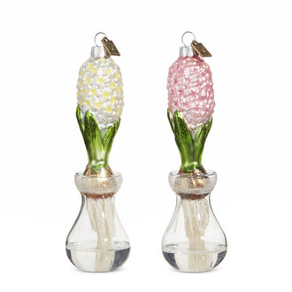 Hyacinth Bulb Ornament Ea