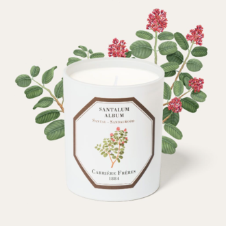 Trudon - Carrière Frères Sandalwood Candle
