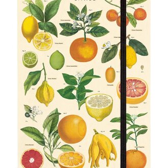 Cavallini Papers Citrus  Notebook