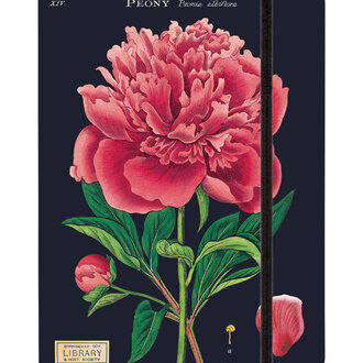 Cavallini Papers Botany Notebook