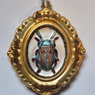 Victorian Beetle Collection