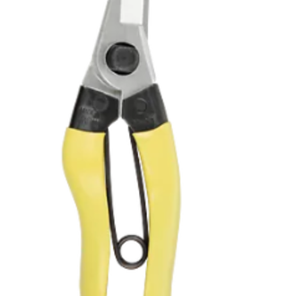 Niwaki Niwaki Mainichi Snips