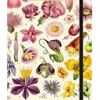 Cavallini Papers Flora Speciman Notebook