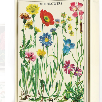 Cavallini Papers Wildflowers Boxed Notecards